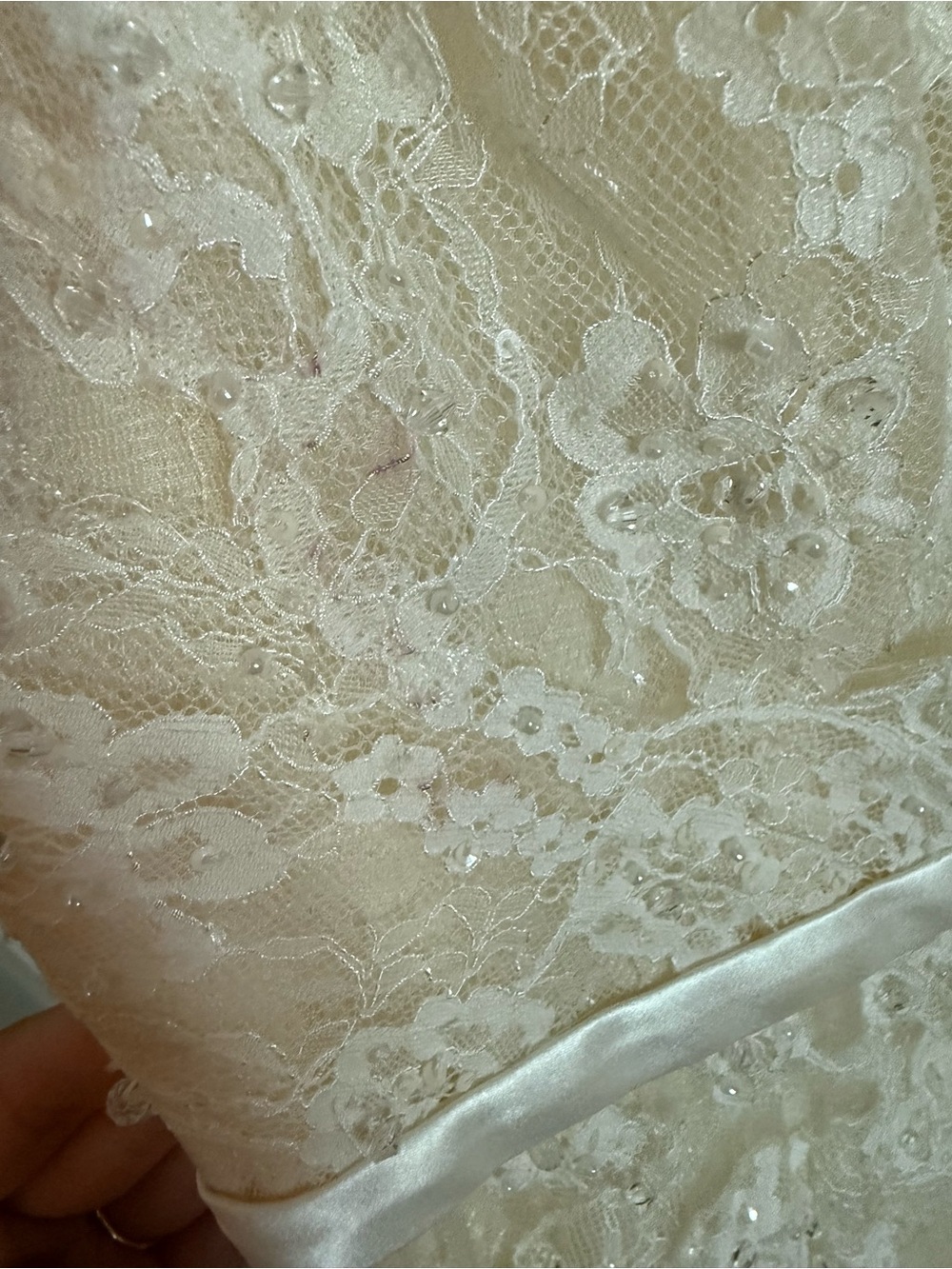 BHLDN Ivory and Champagne Lace A-Line Wedding Gown - Picture 3 of 10